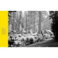National Geographic National Parks Cookbook: Dishes Inspired by America's Great Outdoors