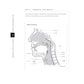The Contemporary Singer - 2nd Edition Elements of Vocal Technique Book/Online Audio (Revised)