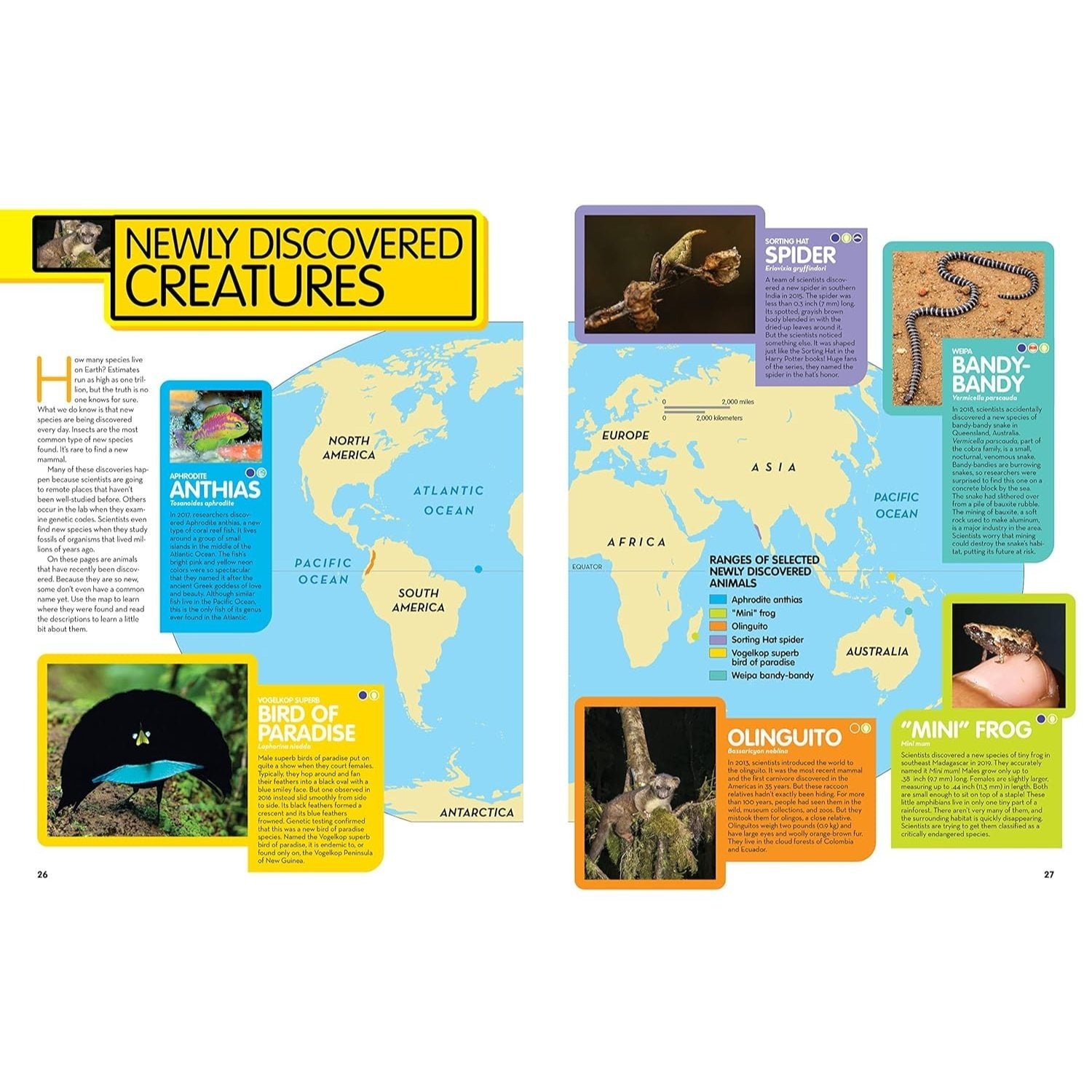 National Geographic Kids Animal Encyclopedia, 2nd Edition: 2,500 Animals with Photos, Maps, and More! (Spiral Bound)