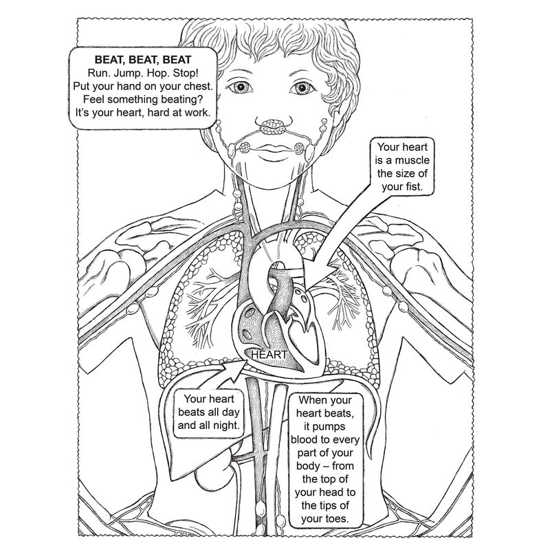 My First Human Body Book Coloring Book (Green) (Spiral Bound)