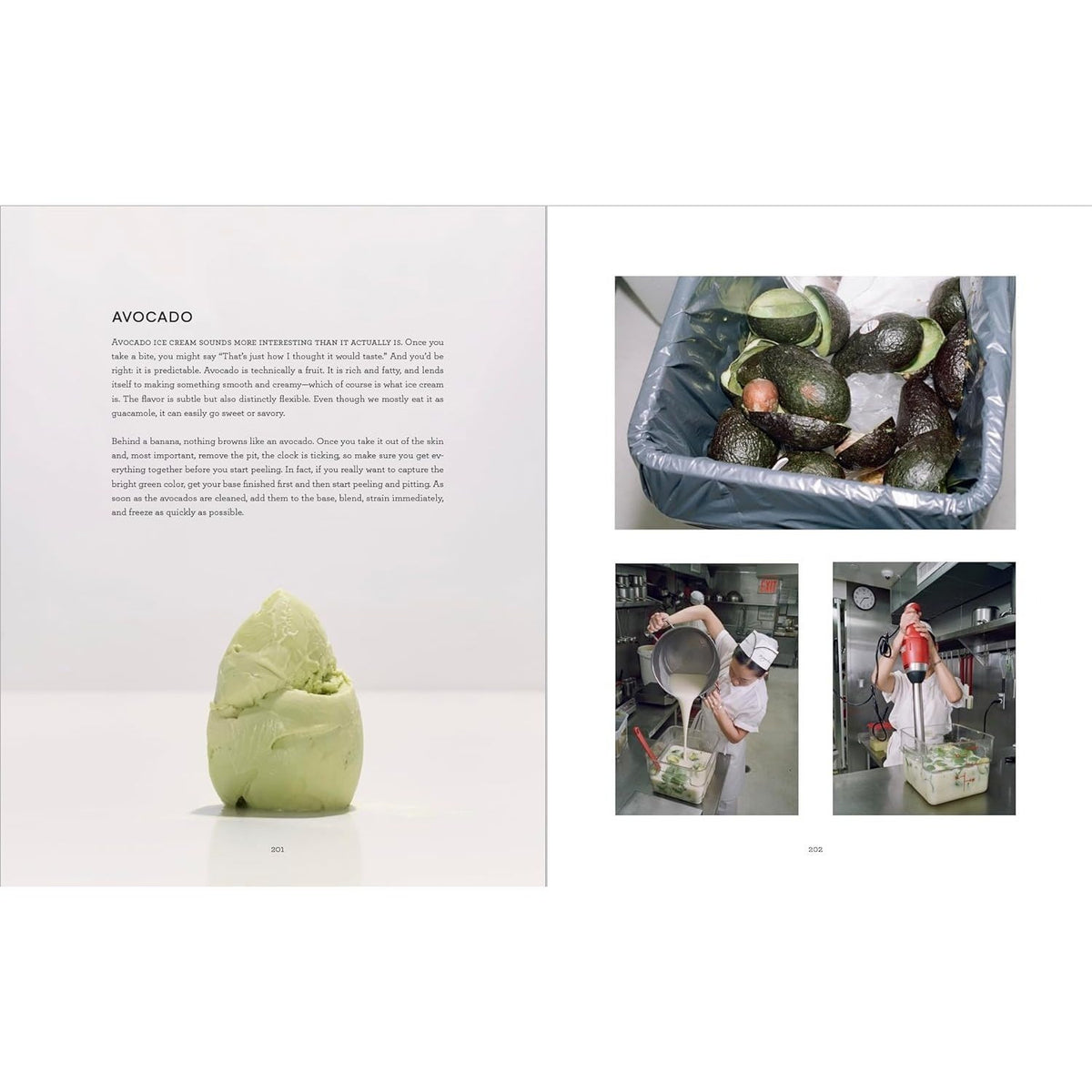 Morgenstern's Finest Ice Cream: A Cookbook