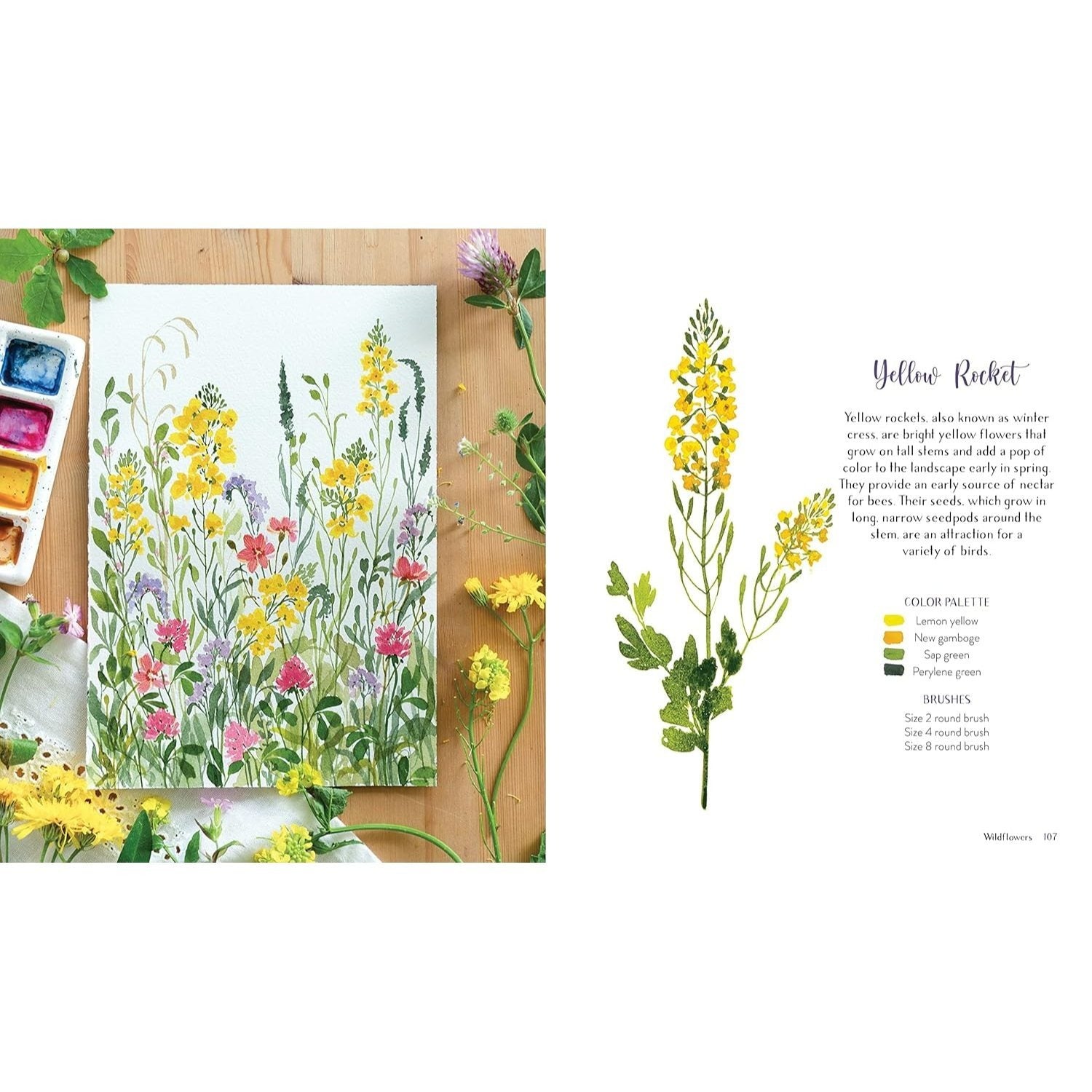 Wildflower Watercolor: The Beginner's Guide to Painting Beautiful Florals