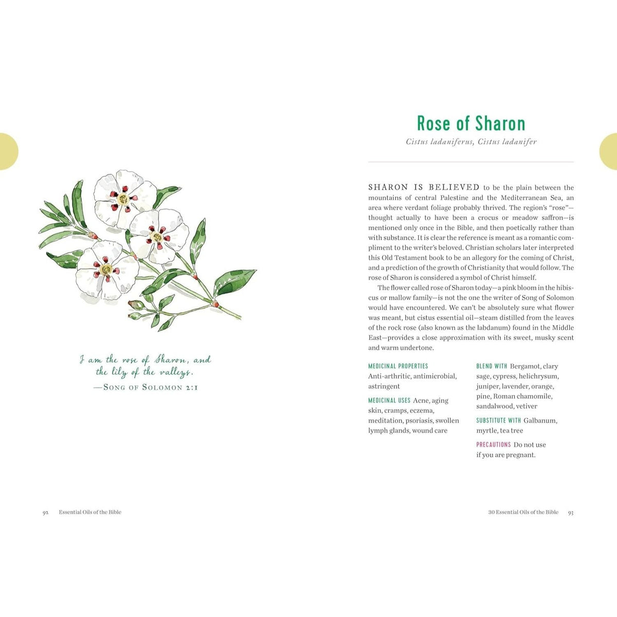 Essential Oils of the Bible: Connecting God's Word to Natural Healing