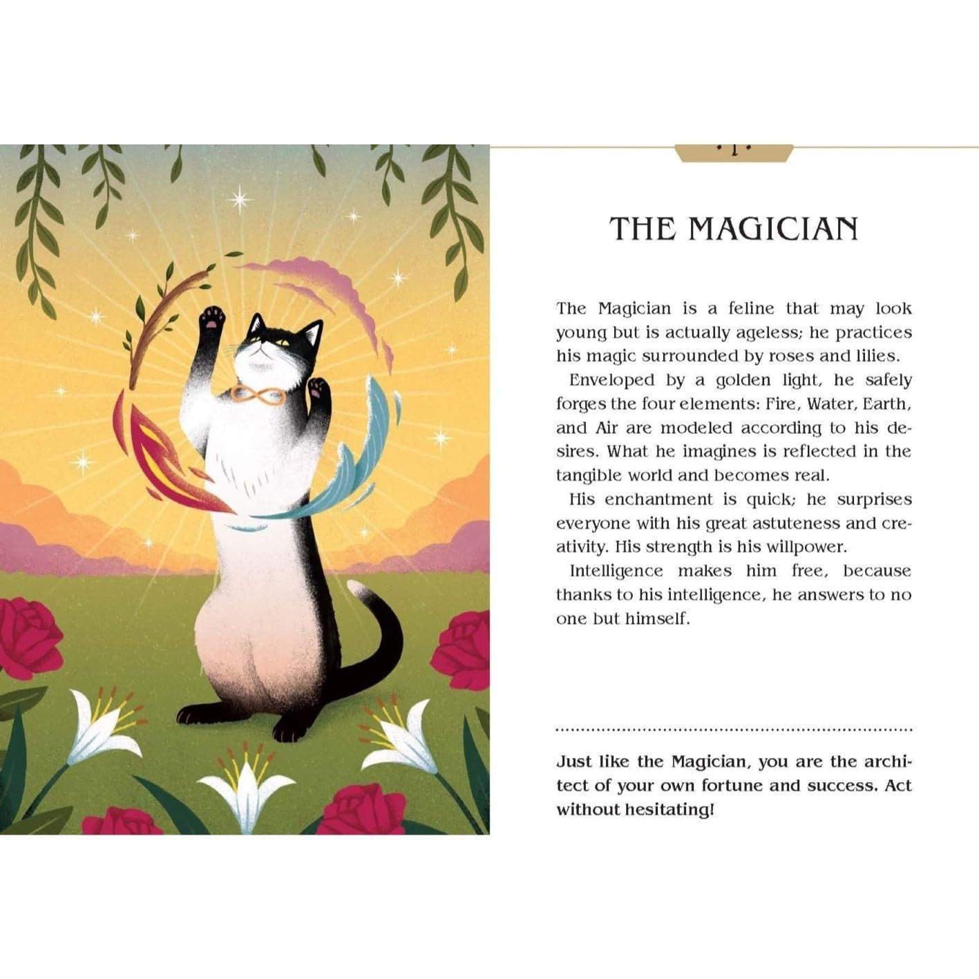 Magic Cats Tarot