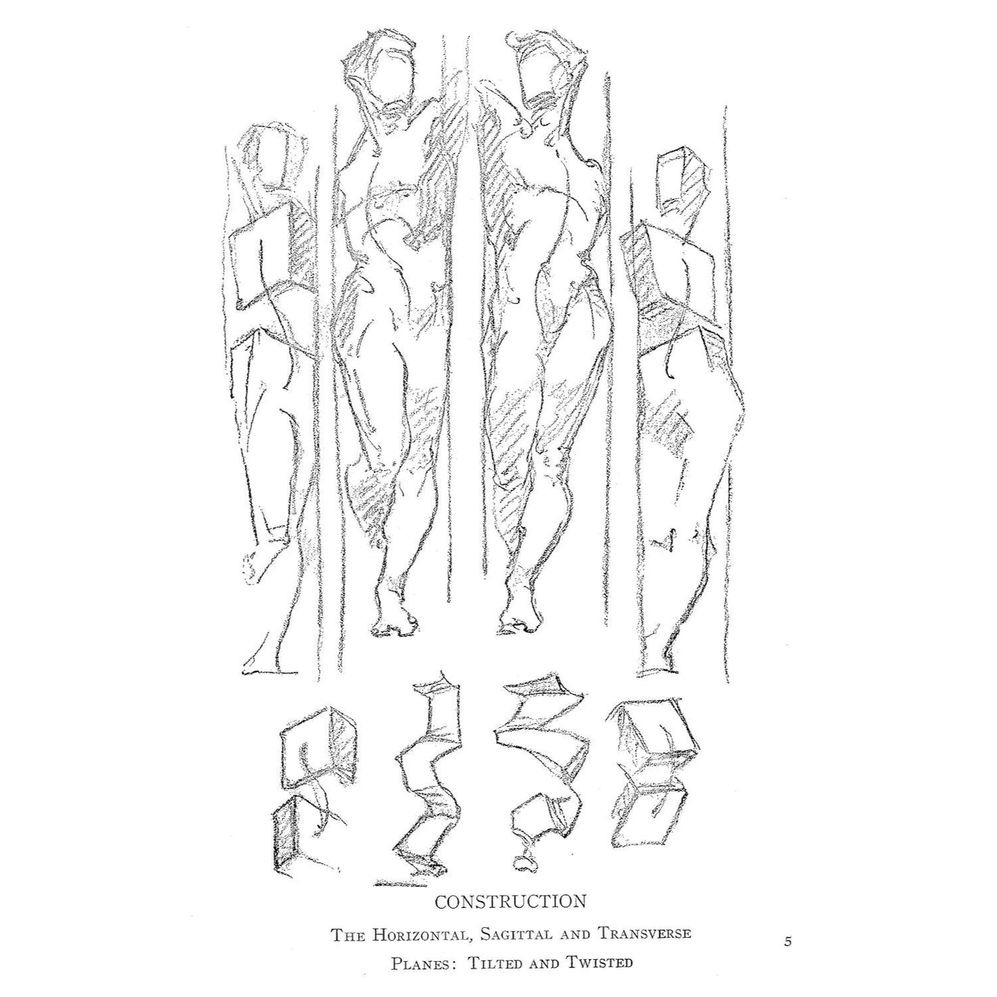 Constructive Anatomy: With Almost 500 Illustrations (Revised) (Dover Anatomy for Artists) (Spiral Bound)
