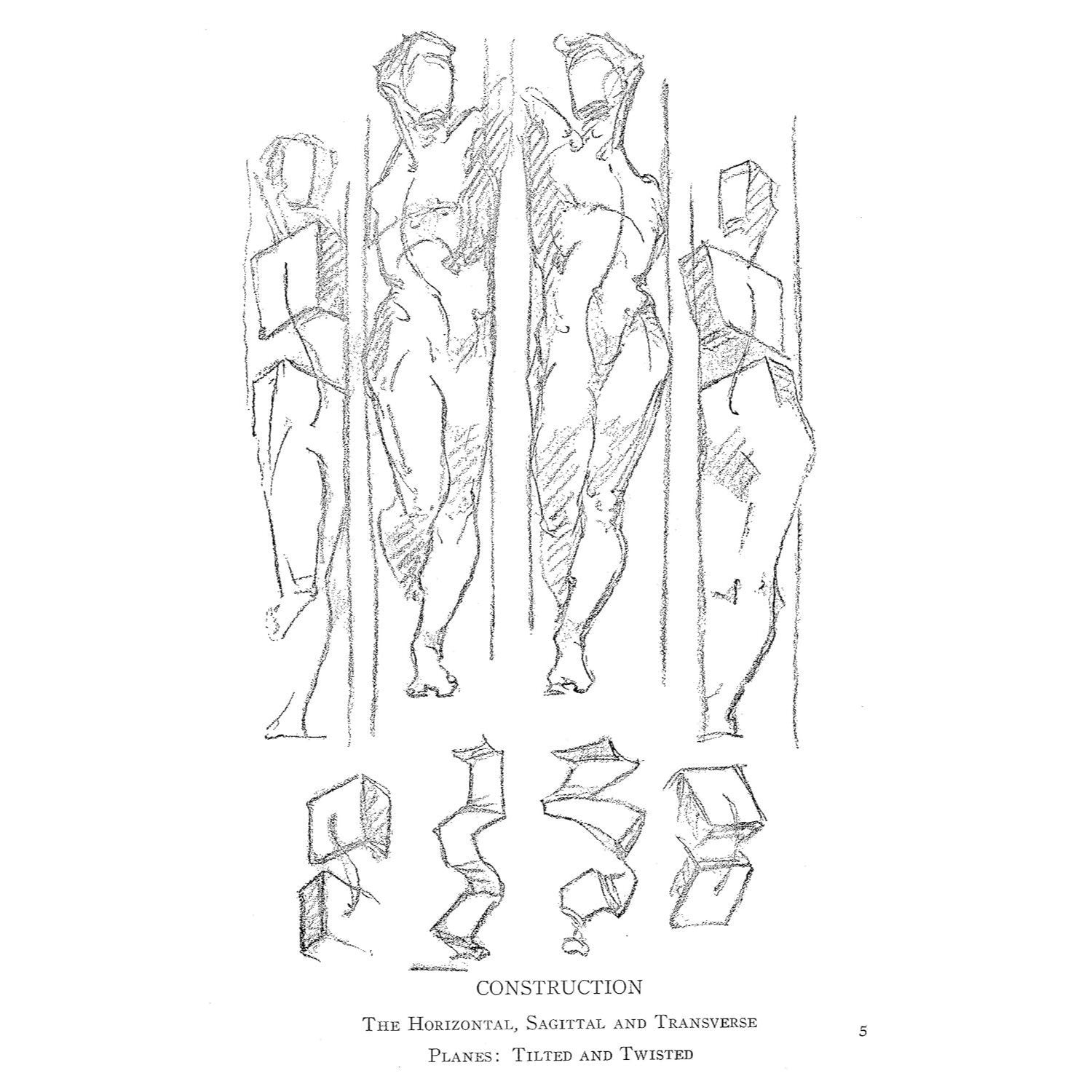Constructive Anatomy: With Almost 500 Illustrations (Revised) (Dover Anatomy for Artists) (Spiral Bound)