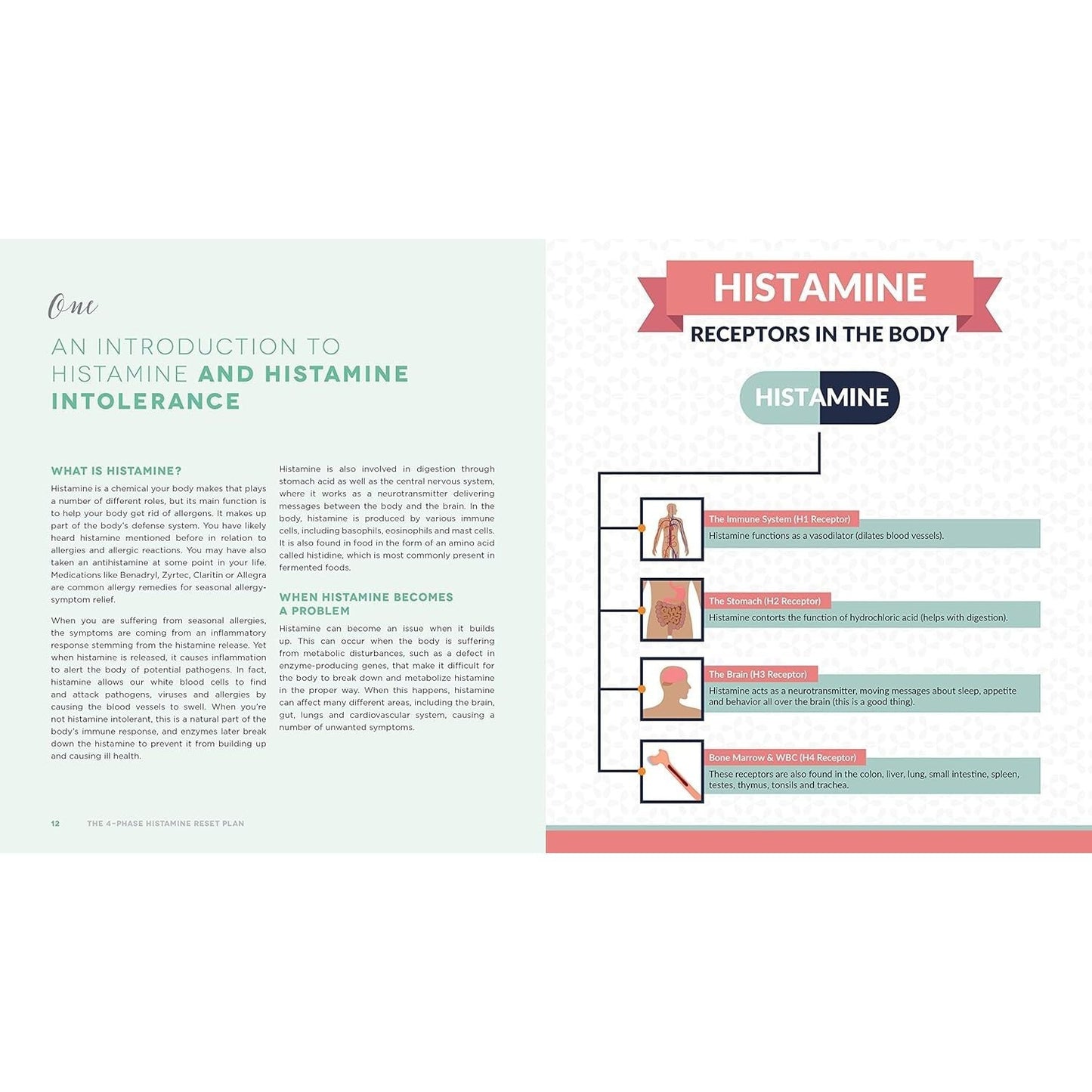 The 4-Phase Histamine Reset Plan: Getting to the Root of Migraines, Eczema, Vertigo, Allergies and More