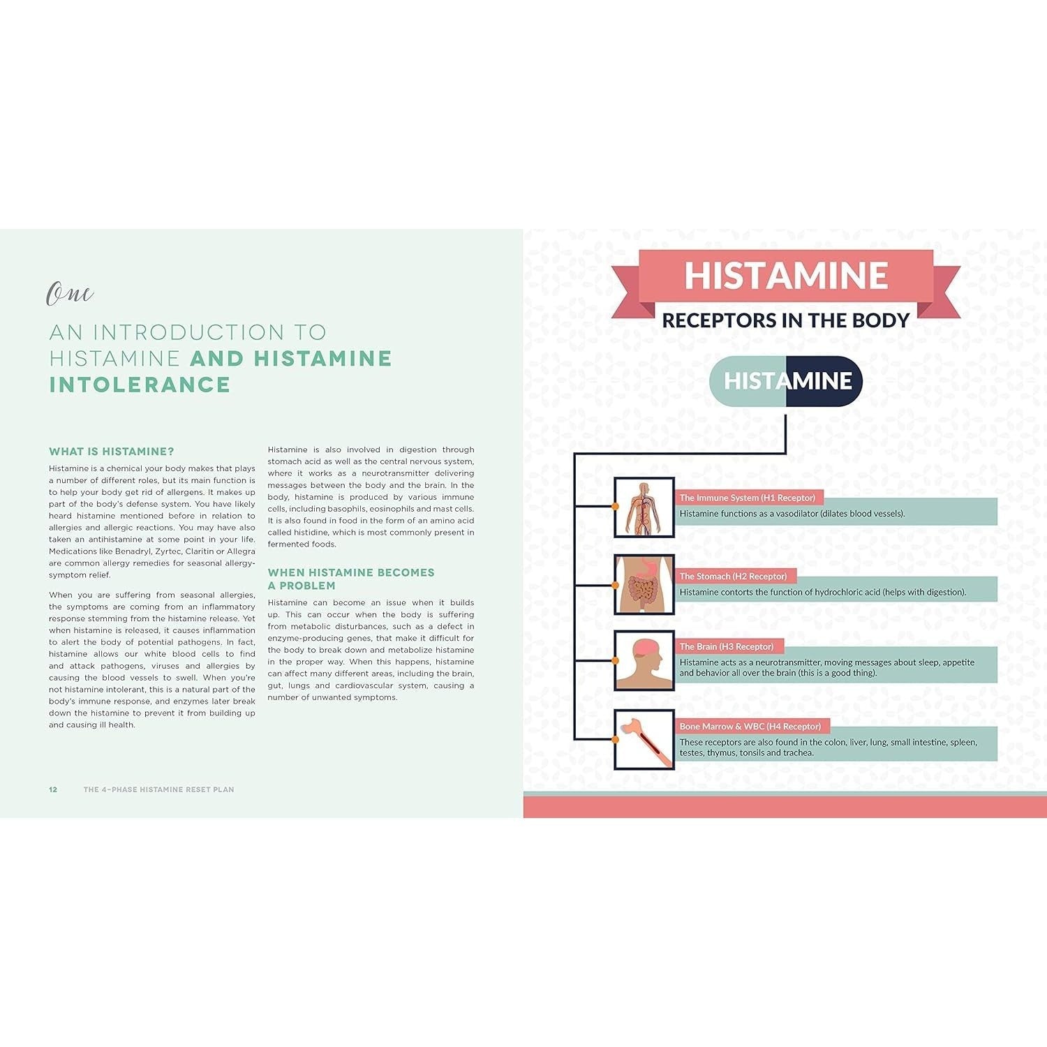 The 4-Phase Histamine Reset Plan: Getting to the Root of Migraines, Eczema, Vertigo, Allergies and More