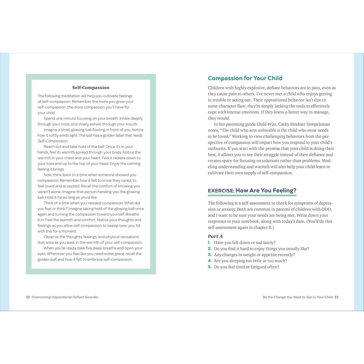 Overcoming Oppositional Defiant Disorder: A Two-Part Treatment Plan to Help Parents and Kids Work Together (Spiral Bound)