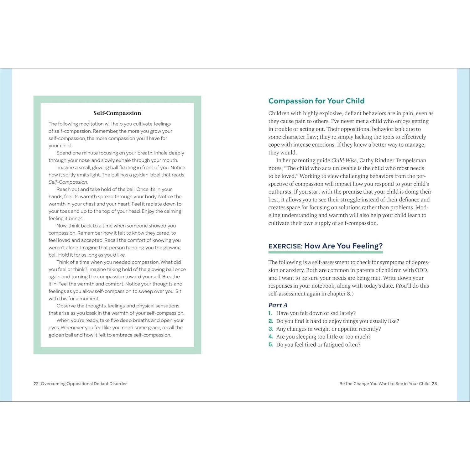 Overcoming Oppositional Defiant Disorder: A Two-Part Treatment Plan to Help Parents and Kids Work Together (Spiral Bound)