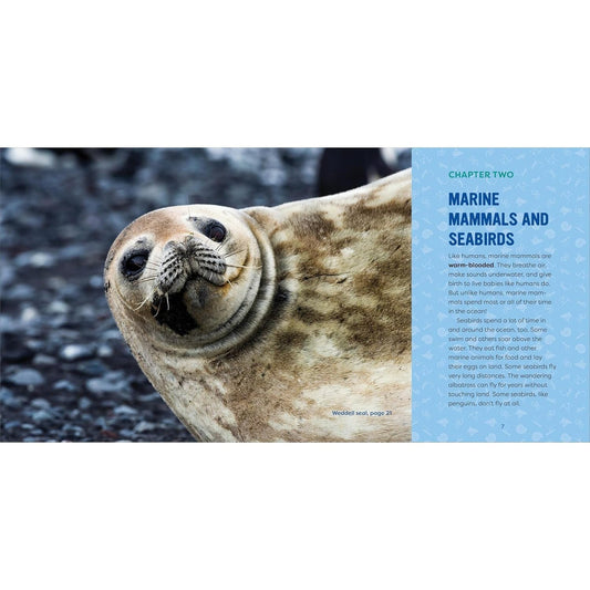 Ocean Animals for Kids: A Junior Scientist's Guide to Whales, Sharks, and Other Marine Life (Junior Scientists)