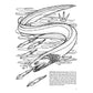 Sharks of the World Coloring Book