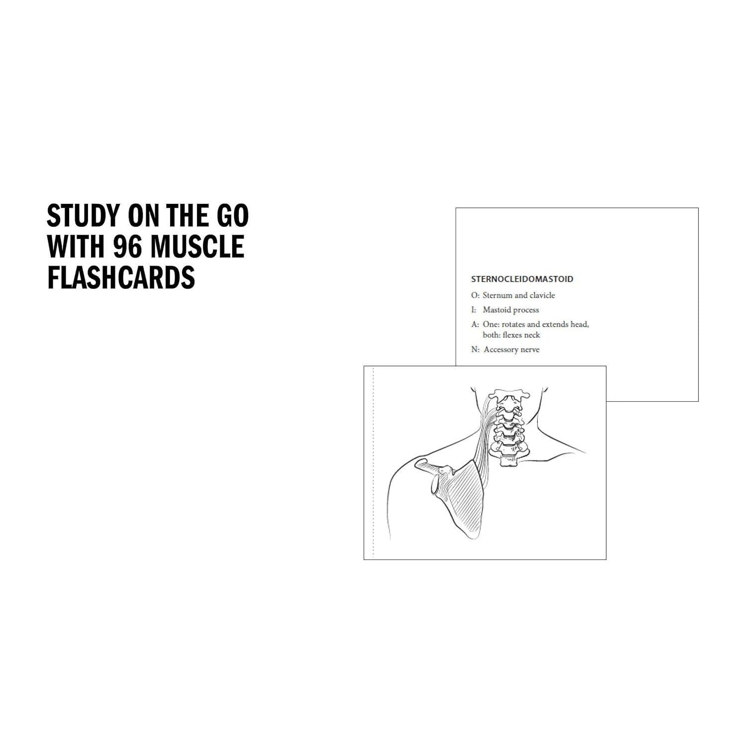 Anatomy Coloring Book with 450+ Realistic Medical Illustrations with Quizzes for Each (Spiral Bound)