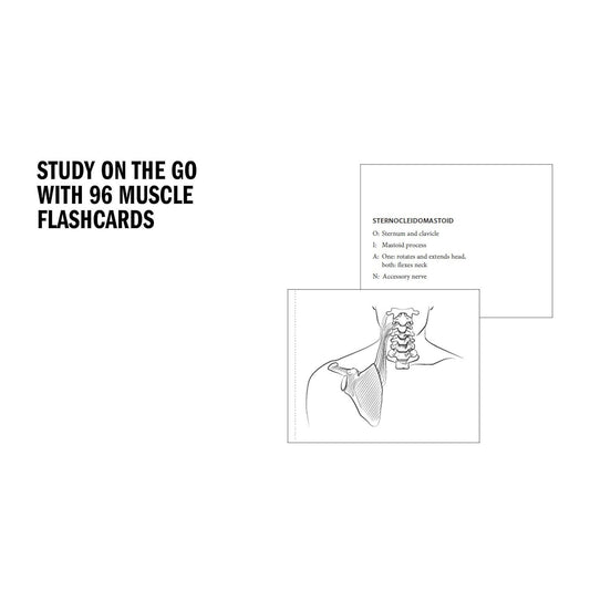 Anatomy Coloring Book with 450+ Realistic Medical Illustrations with Quizzes for Each (Spiral Bound)