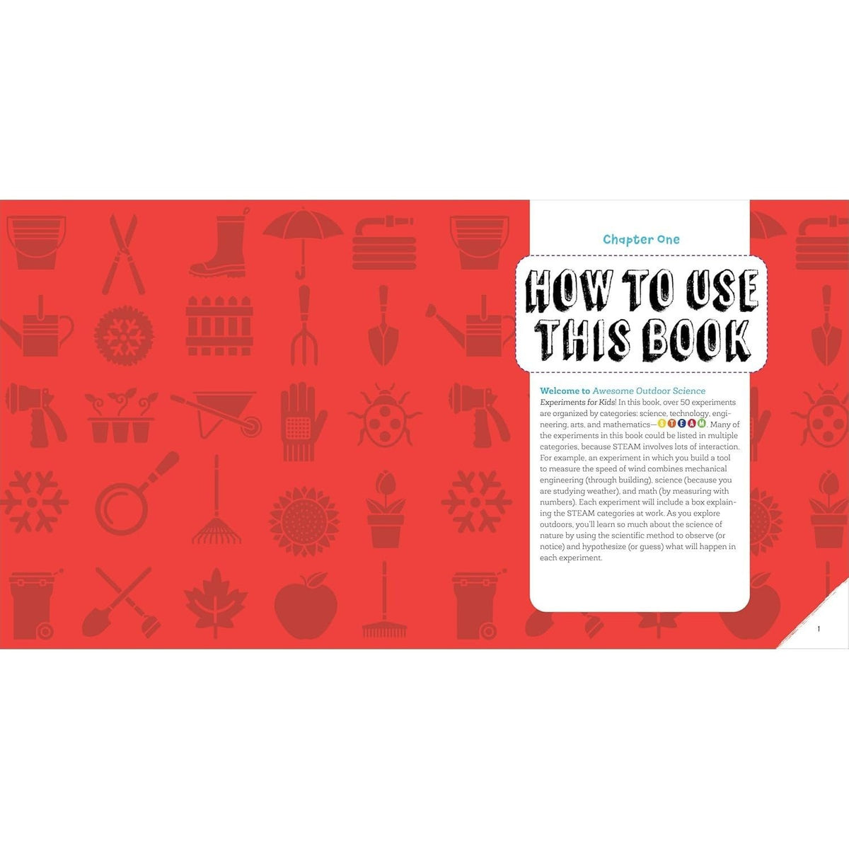 Awesome Outdoor Science Experiments for Kids: 50+ Steam Projects and Why They Work