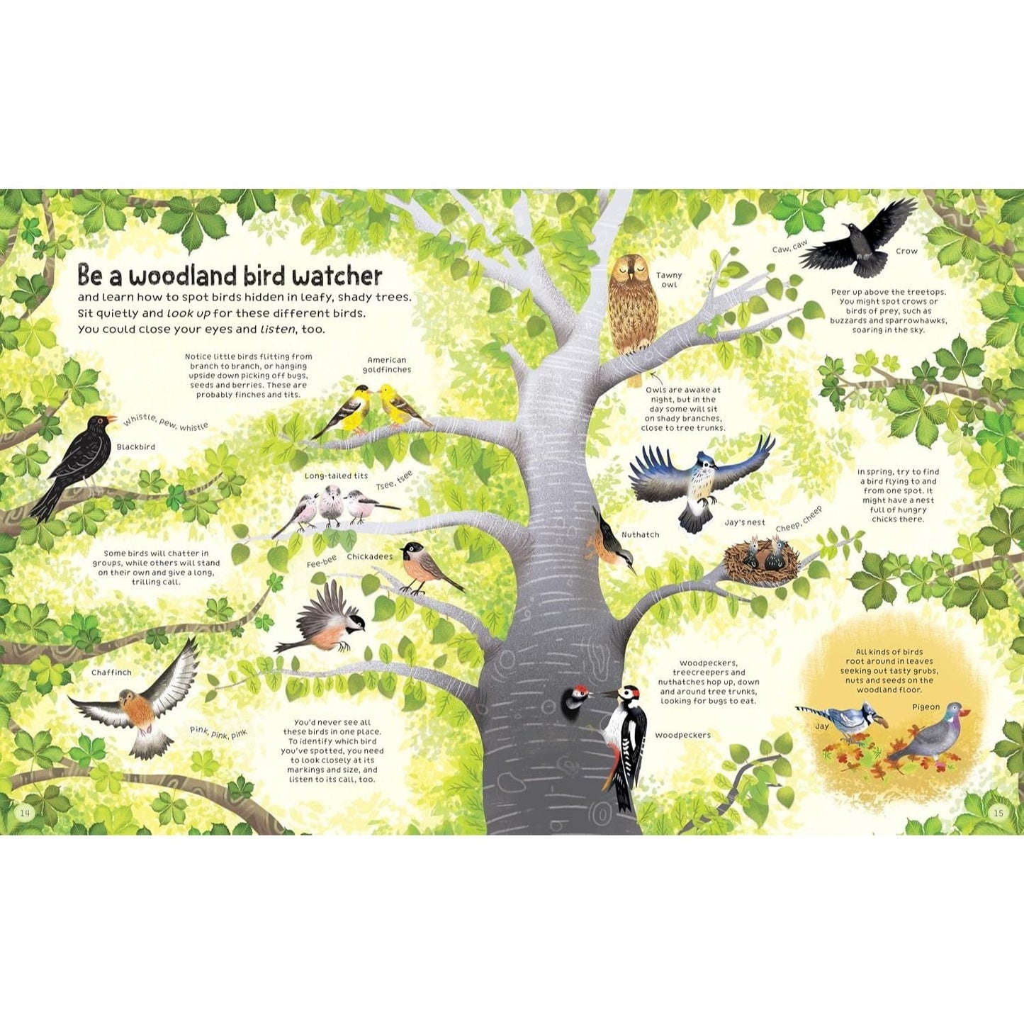 The Woodland Book