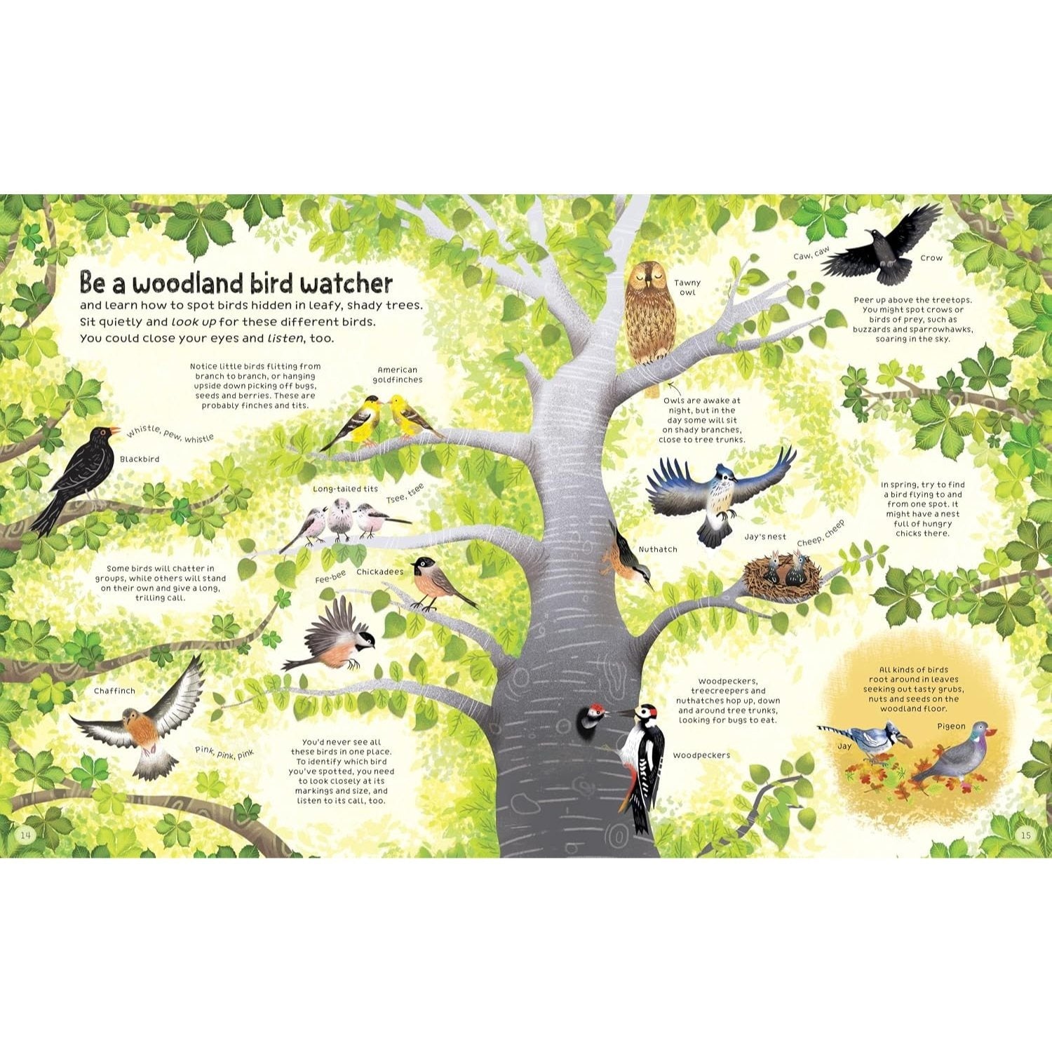 The Woodland Book