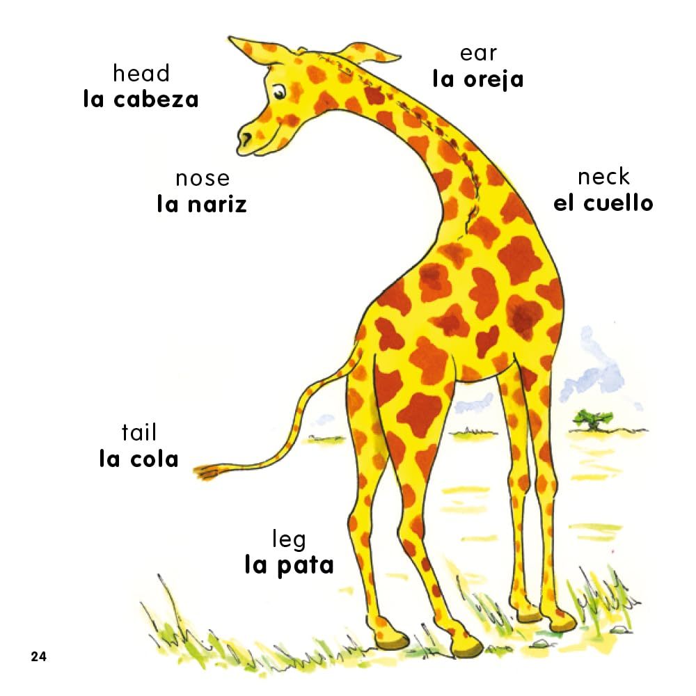 Hello Spanish! I'm Too Big! / ¡Soy Demasiado Grande!