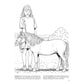 Big Book of Horses to Color