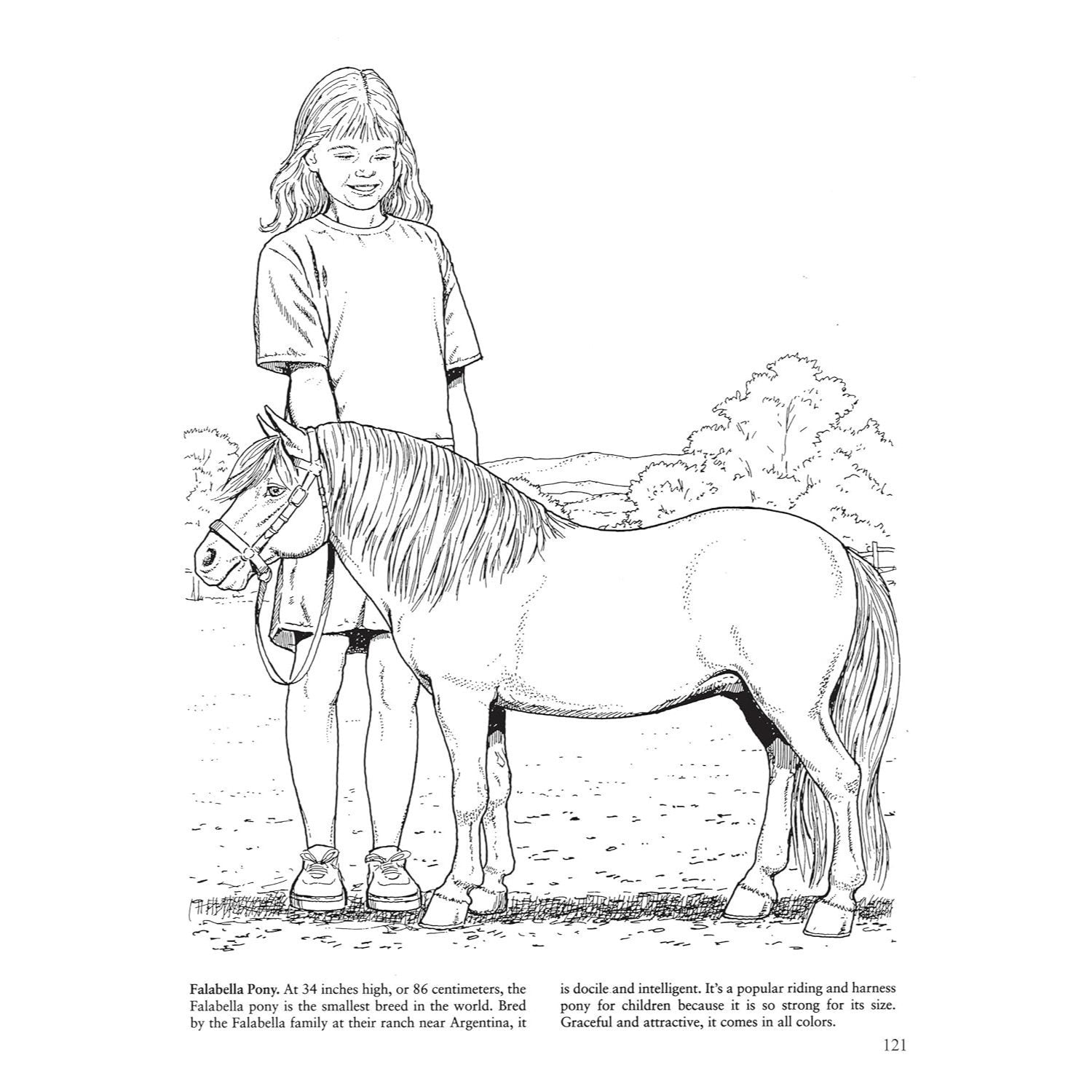 Big Book of Horses to Color