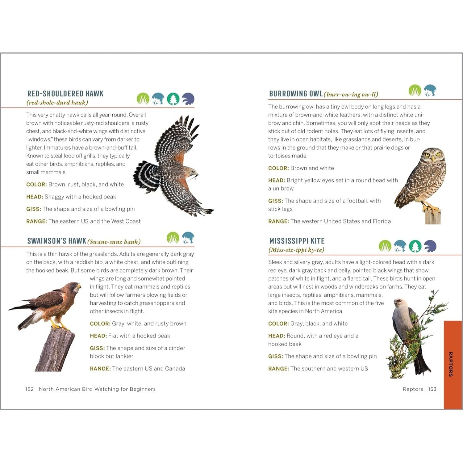 North American Bird Watching for Beginners: Field Notes on 150 Species to Start Your Birding Adventures (Spiral Bound)