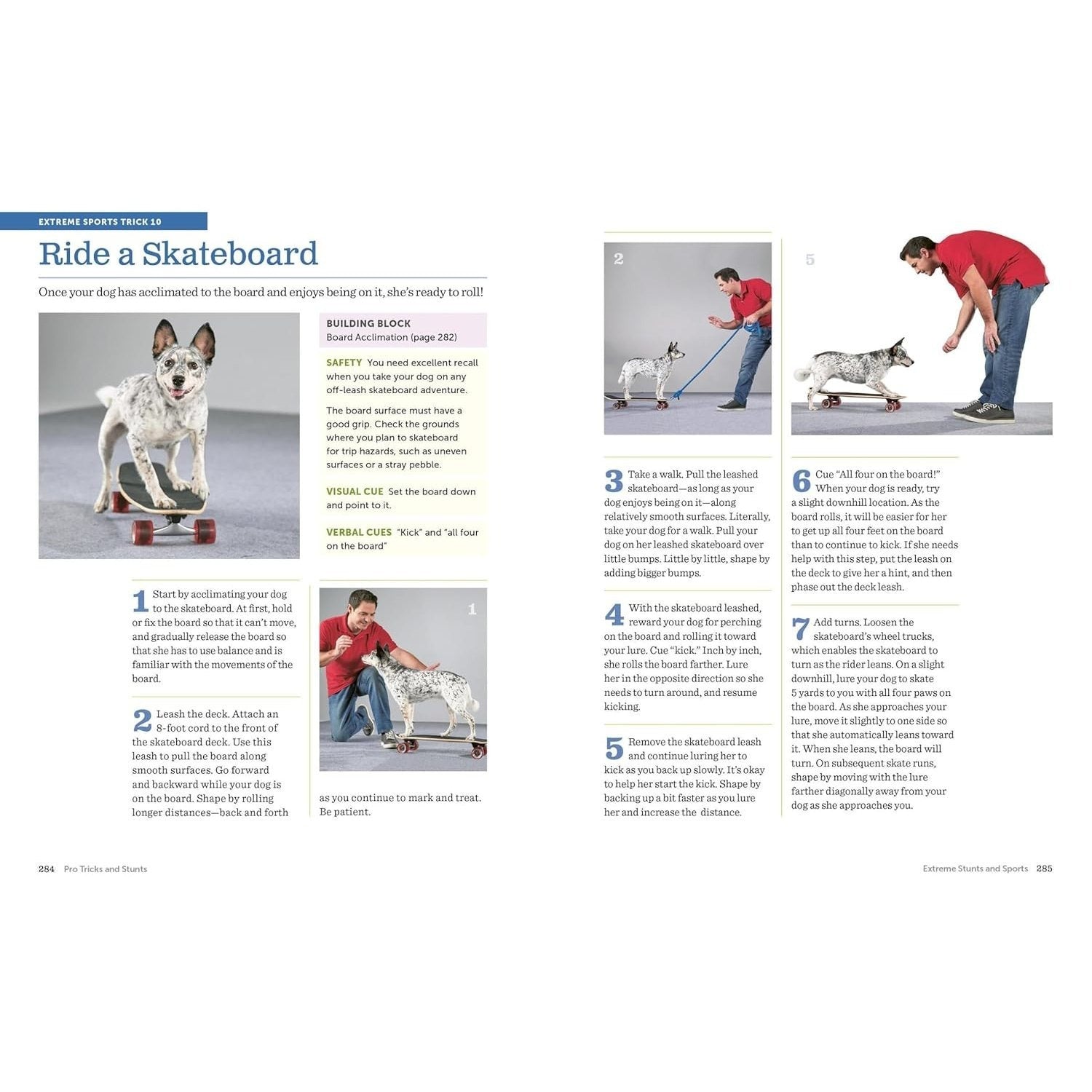 The Big Book of Tricks for the Best Dog Ever: A Step-By-Step Guide to 118 Amazing Tricks and Stunts