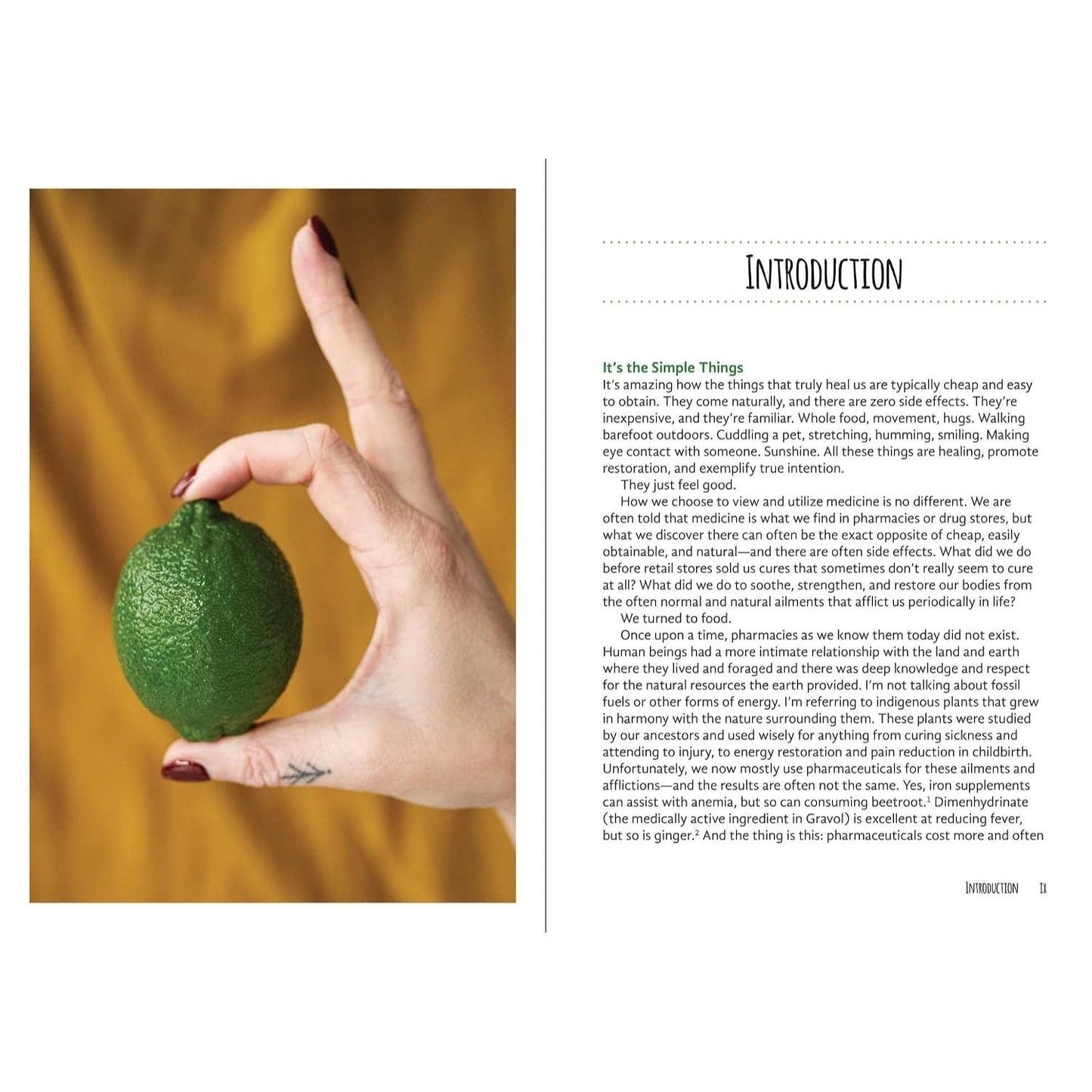 Good Living Guide to Healing Drinks: Juices, Smoothies, Broths & Herbal Teas