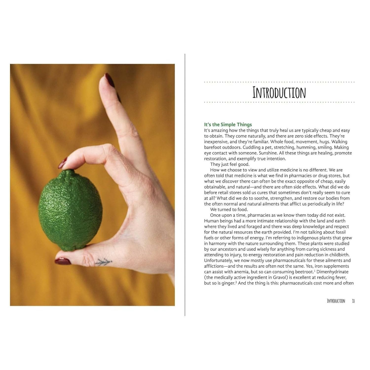 Good Living Guide to Healing Drinks: Juices, Smoothies, Broths & Herbal Teas