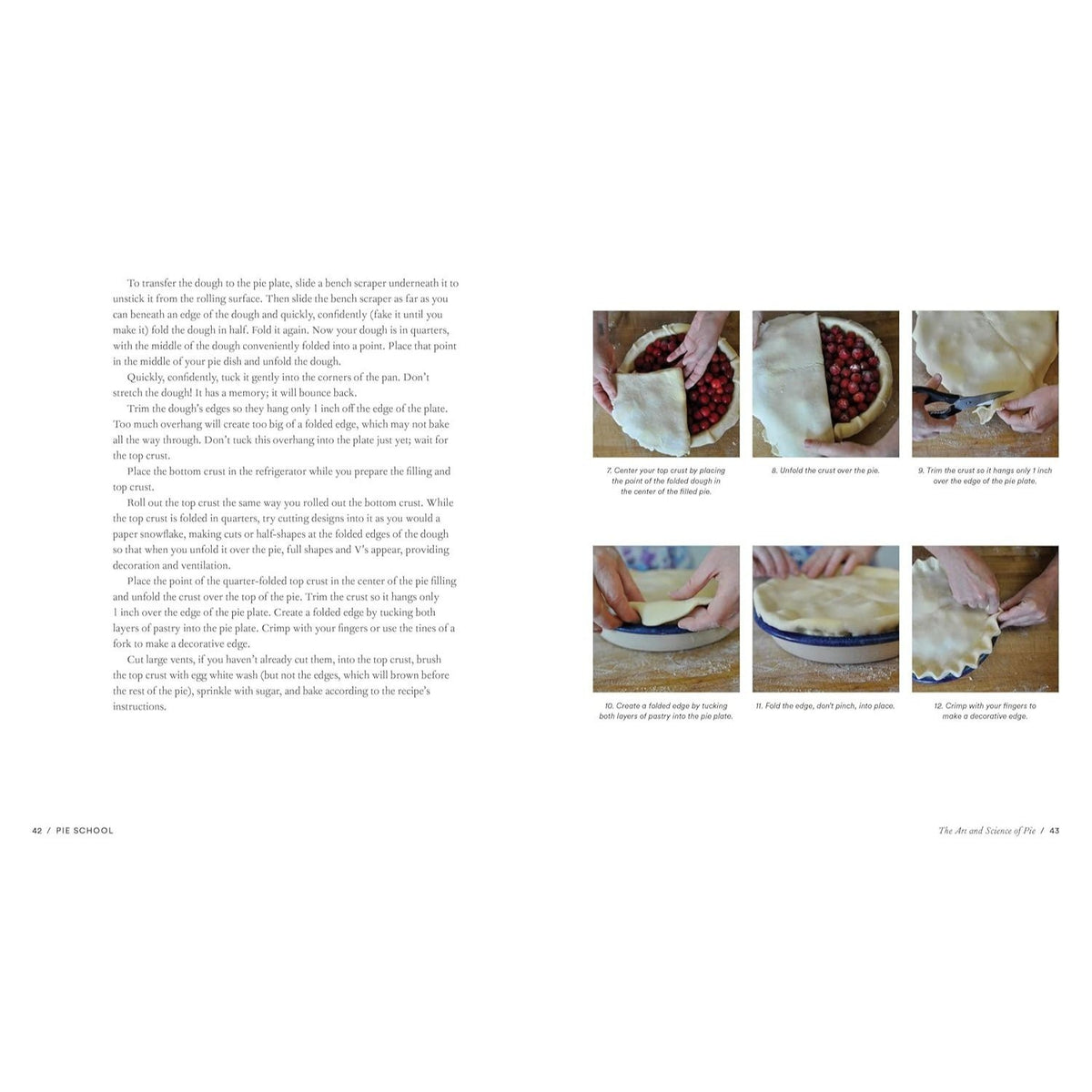 Pie School: Lessons in Fruit, Flour & Butter (a Pie Cookbook)