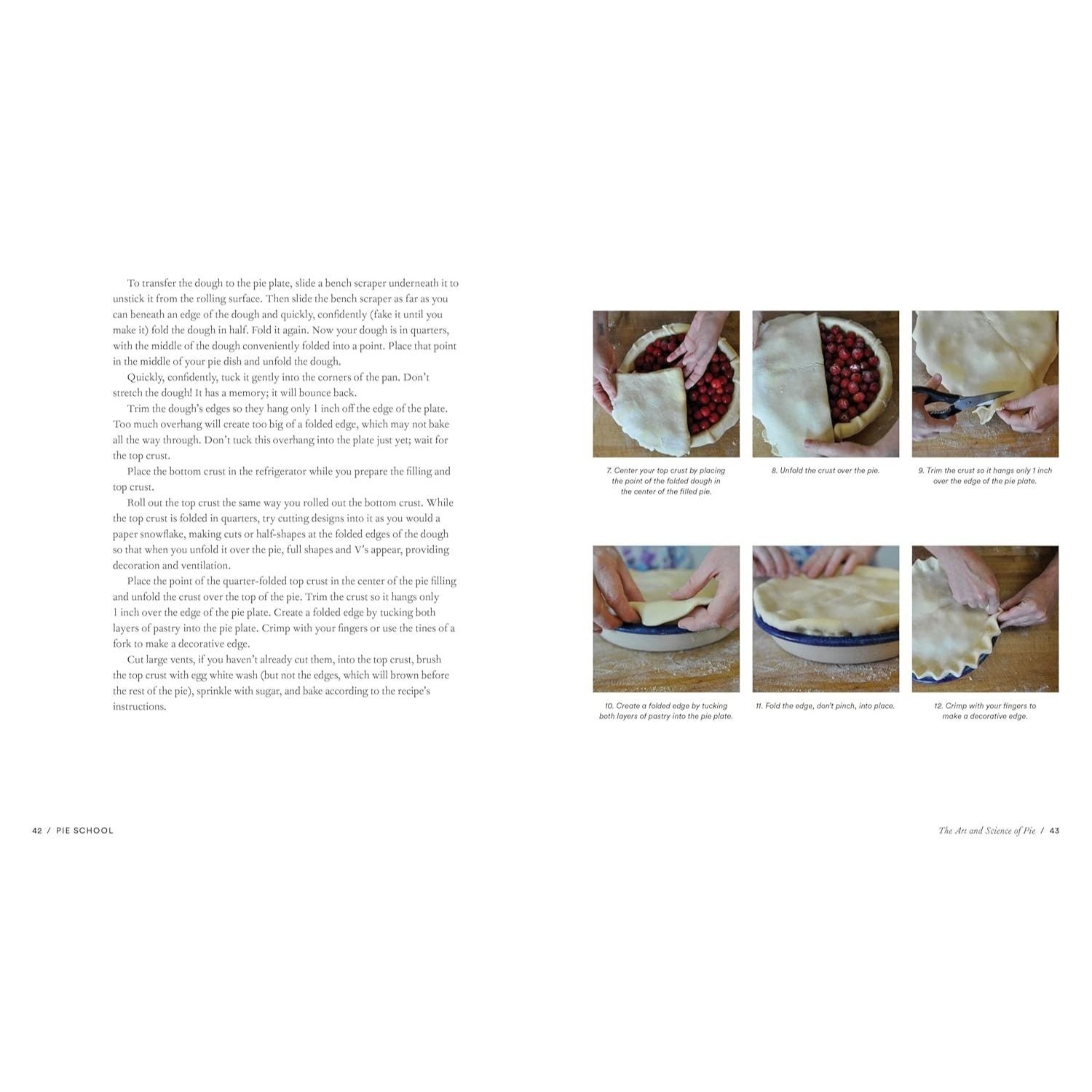 Pie School: Lessons in Fruit, Flour & Butter (a Pie Cookbook)