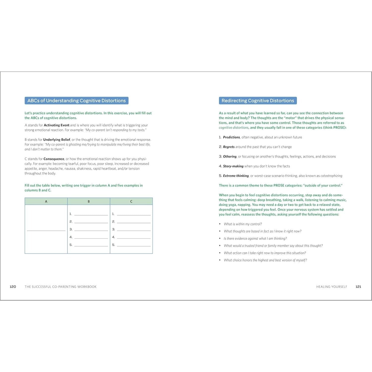 The Successful Co-Parenting Workbook: Practical Exercises to Heal Yourself and Help Your Kids Thrive