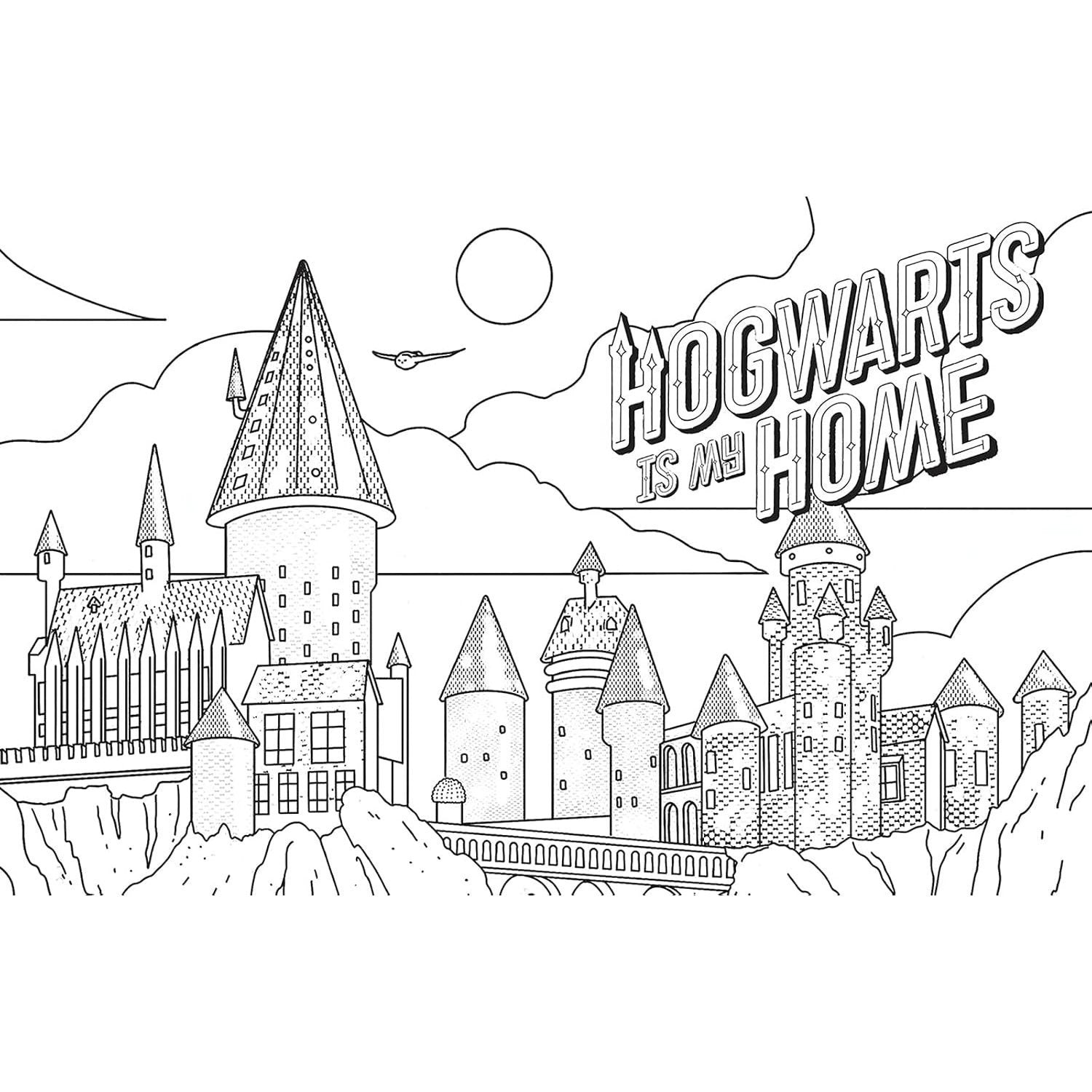 Magical Art Coloring Book (Harry Potter)