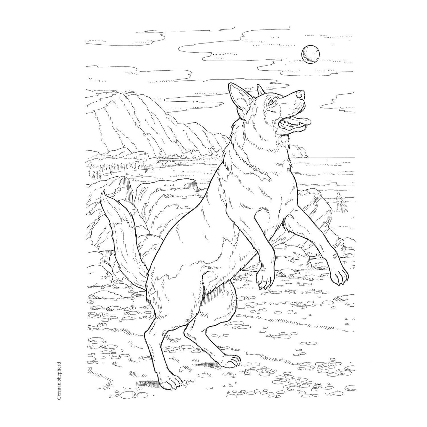 Creative Haven the Dog Lovers' Coloring Book
