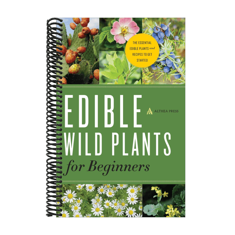 Edible Wild Plants for Beginners: The Essential Edible Plants and Recipes to Get Started