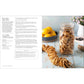 The Modern Pioneer Cookbook: Nourishing Recipes from a Traditional Foods Kitchen (Spiral Bound)
