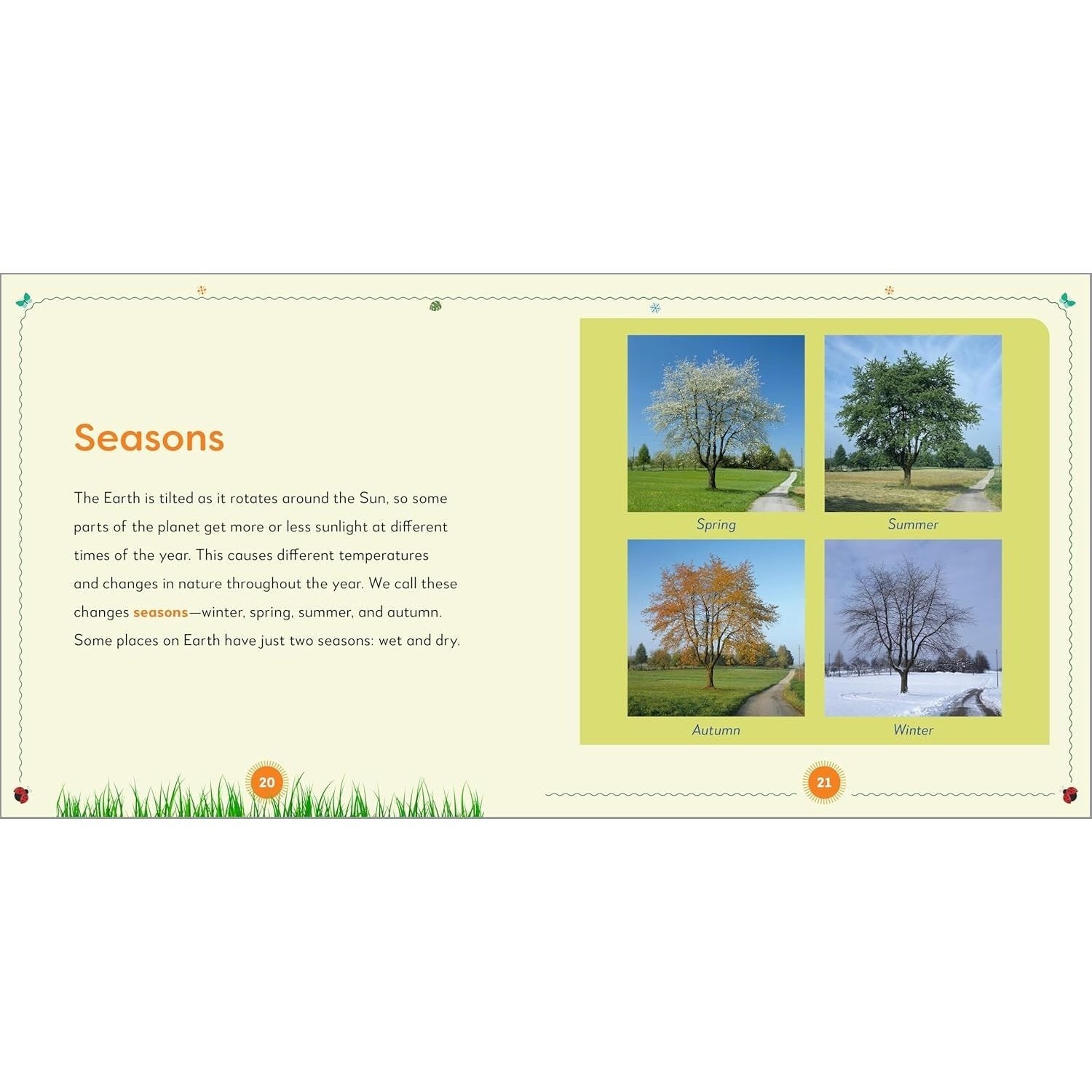 My First Nature Book: All about the Natural World for Kids