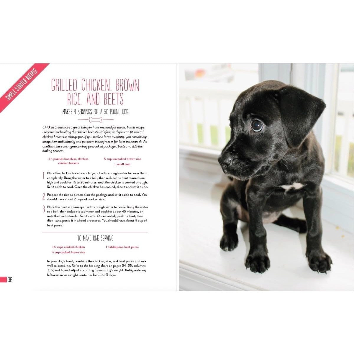 Home Cooking for Your Dog: 75 Holistic Recipes for a Healthier Dog
