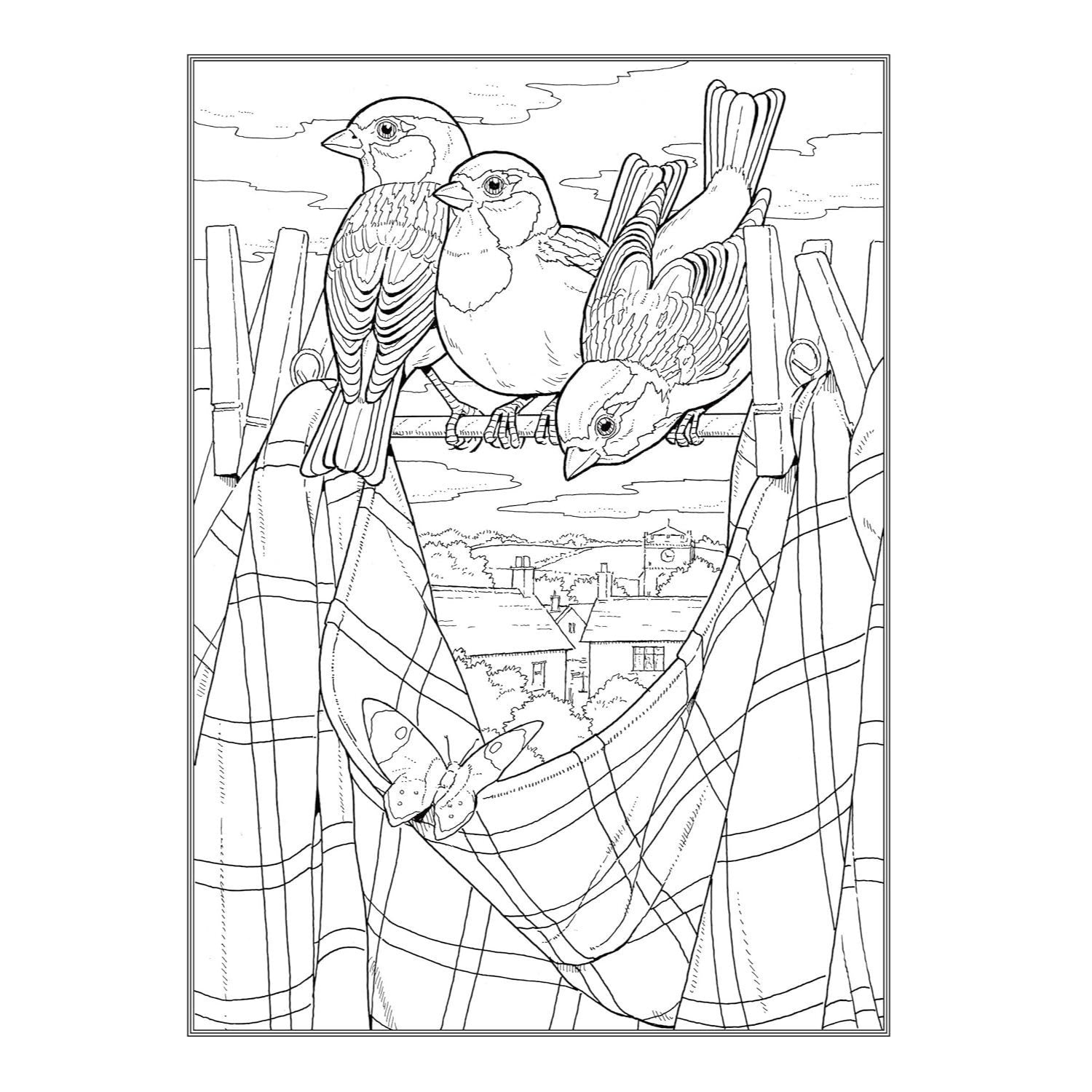 Creative Haven Glorious Songbirds Coloring Book