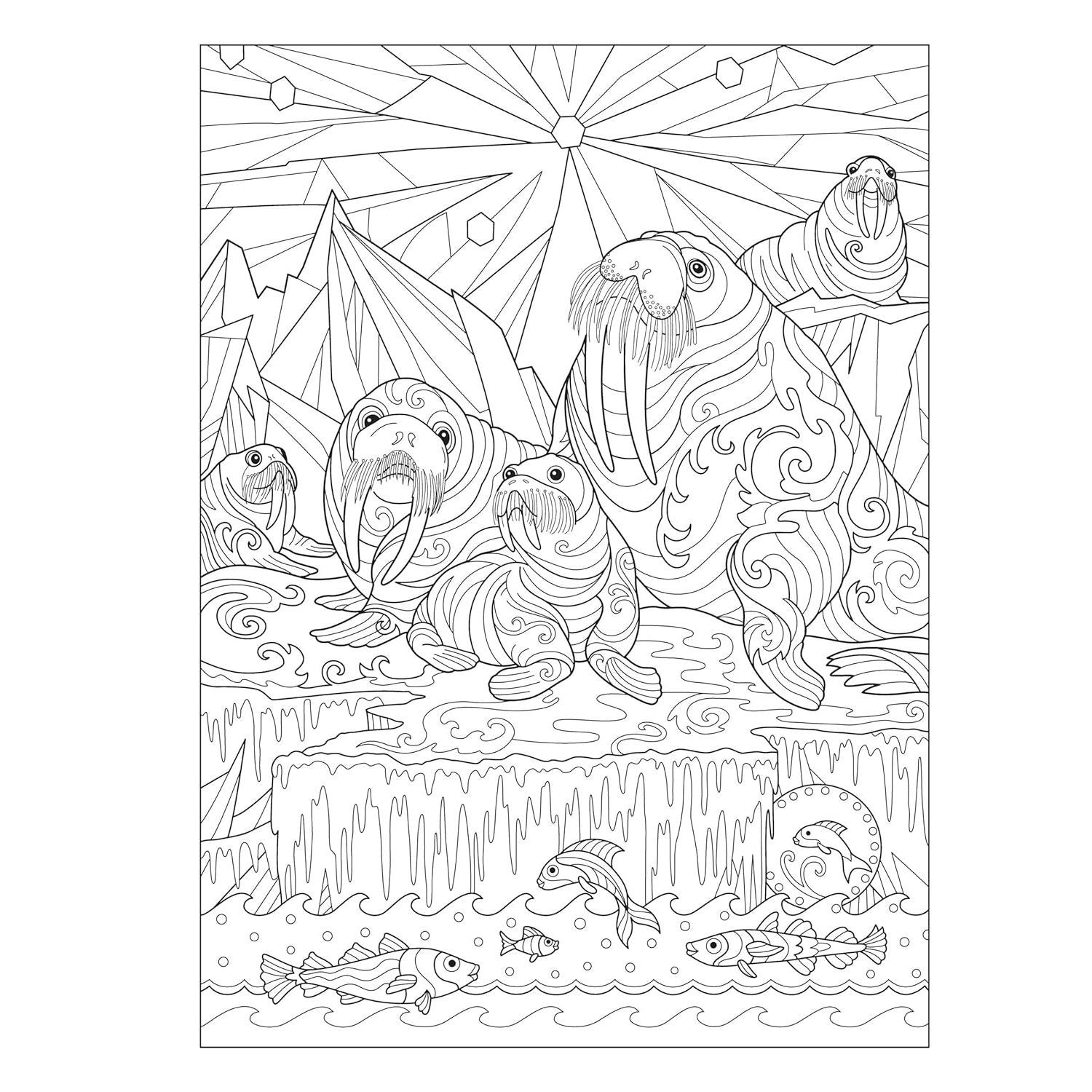 Creative Haven Fanciful Sea Life Coloring Book (Spiral Bound)