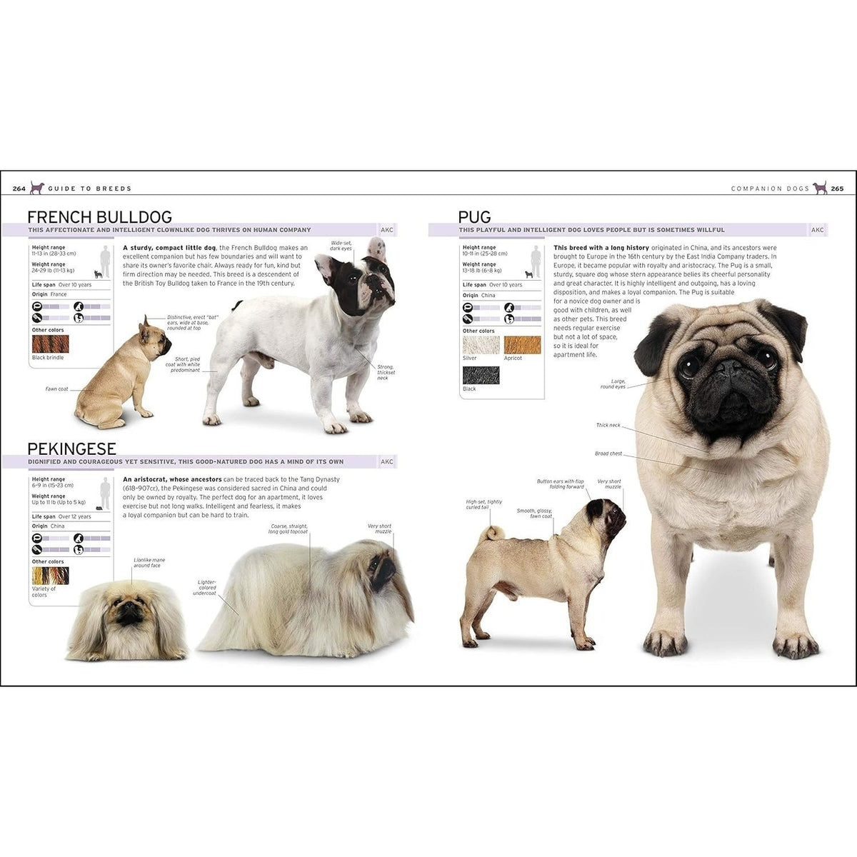 The Complete Dog Breed Book, New Edition (Previously Published as Top Dog) (DK Definitive Pet Breed Guides) (Spiral Bound)