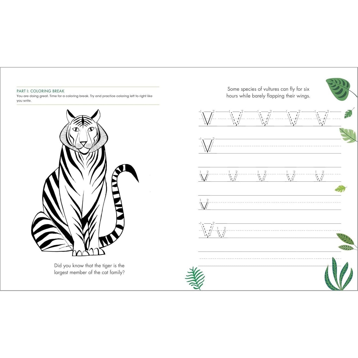 The Print Penmanship Workbook for Kids: Improve Your Handwriting with Fun Animal Facts