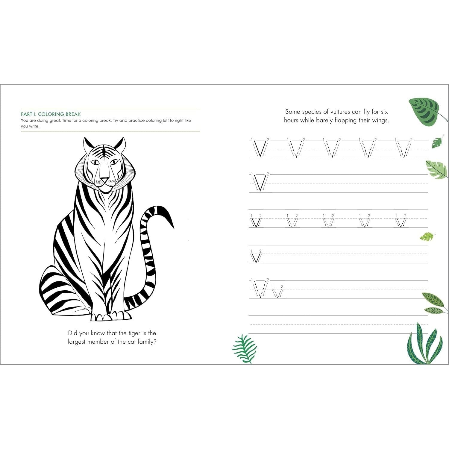The Print Penmanship Workbook for Kids: Improve Your Handwriting with Fun Animal Facts