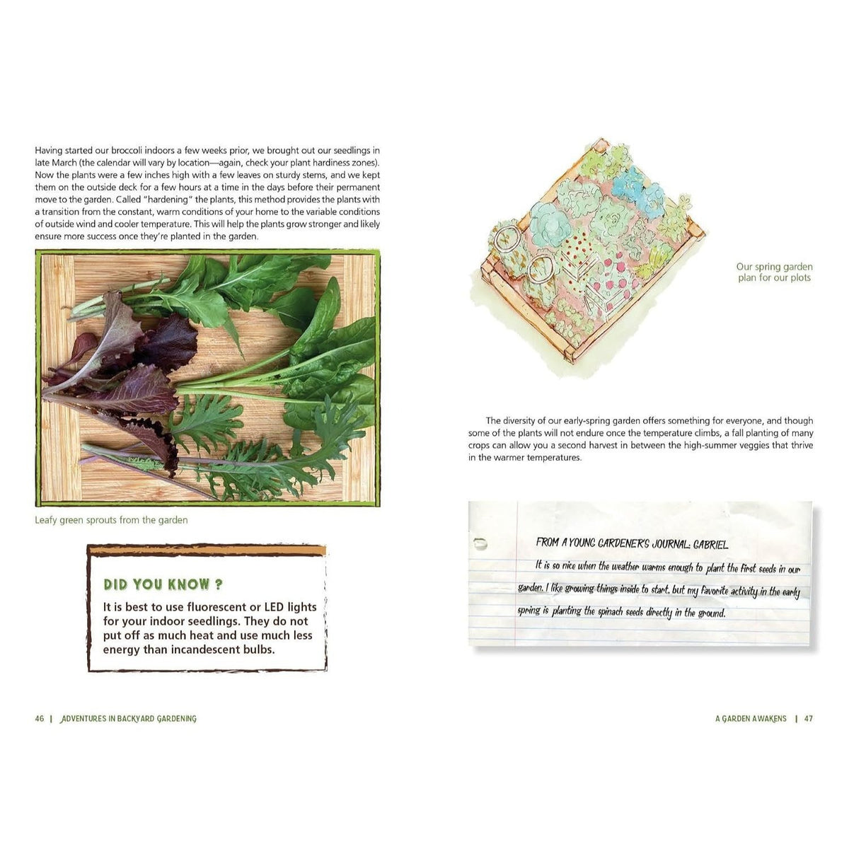 Adventures in Backyard Gardening: Inspiring Young Gardeners to Grow Their Own Food (an Illustrated Step-By-Step Guide to Agrigulture, Composting, Beek