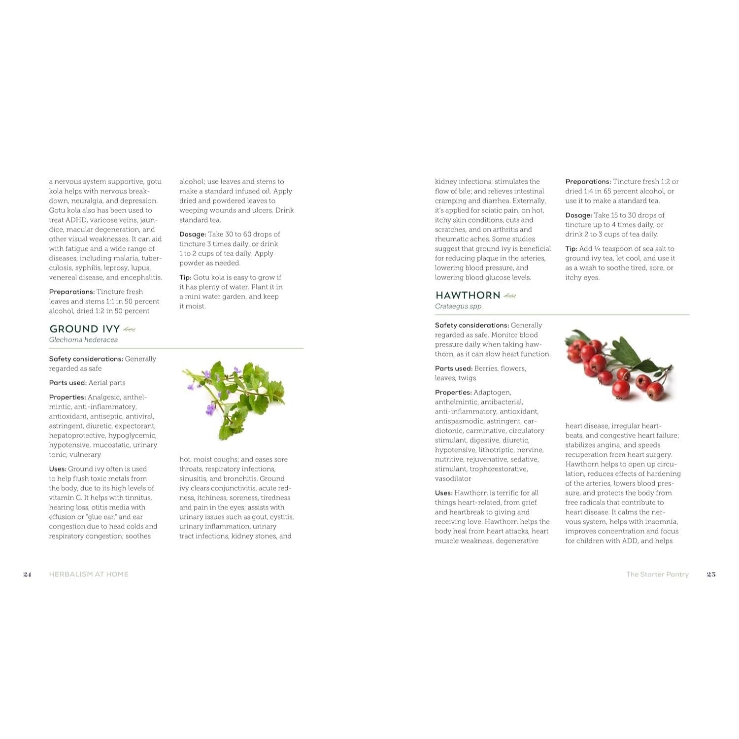 Herbalism at Home: 125 Recipes for Everyday Health