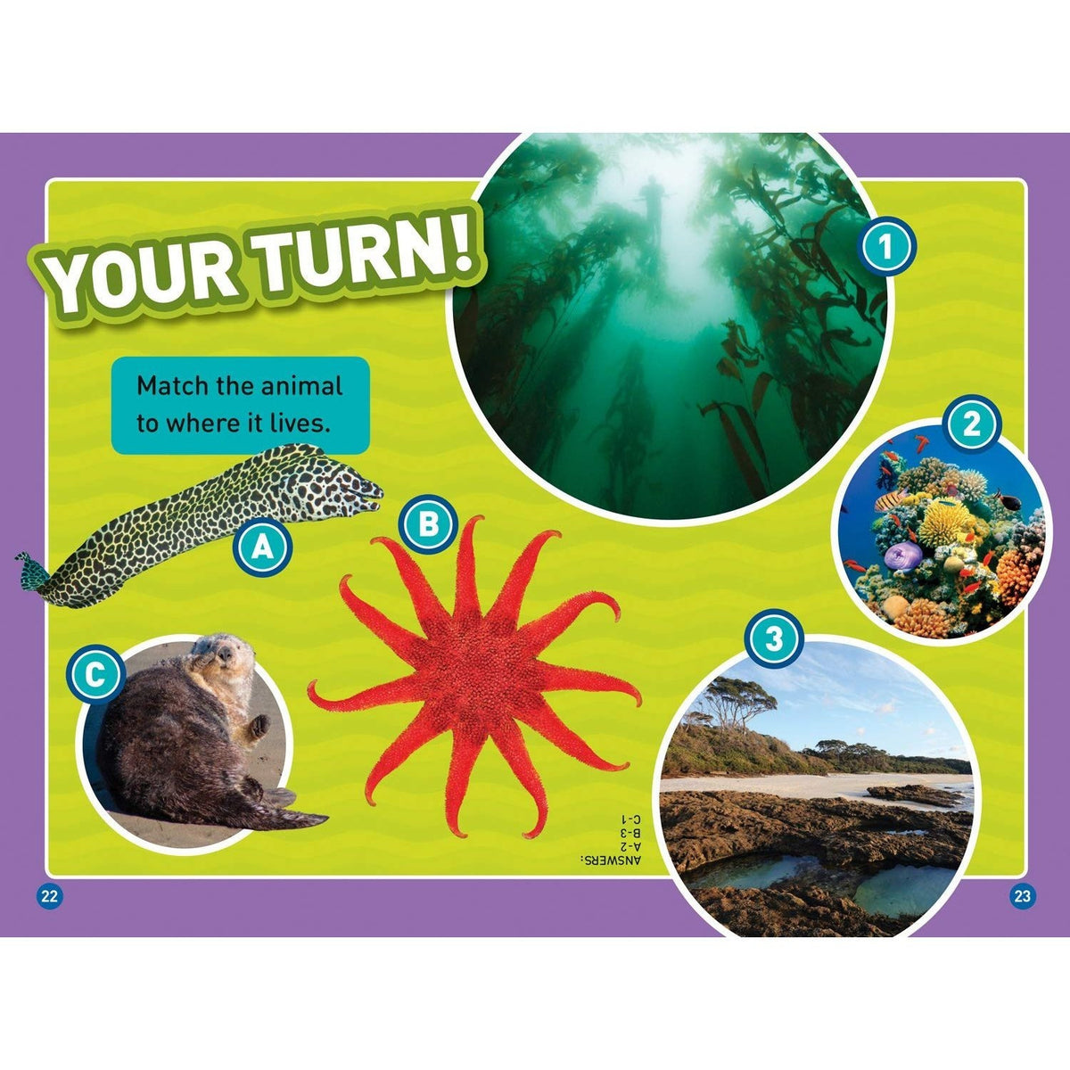 In the Ocean (National Geographic Kids Readers, Level 1/Co-Reader) (National Geographic Kids Readers) (Spiral Bound)