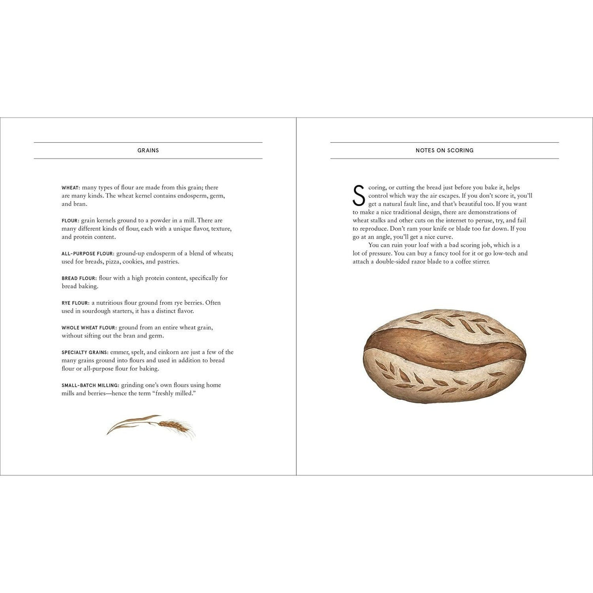 The Bread Baker's Notebook