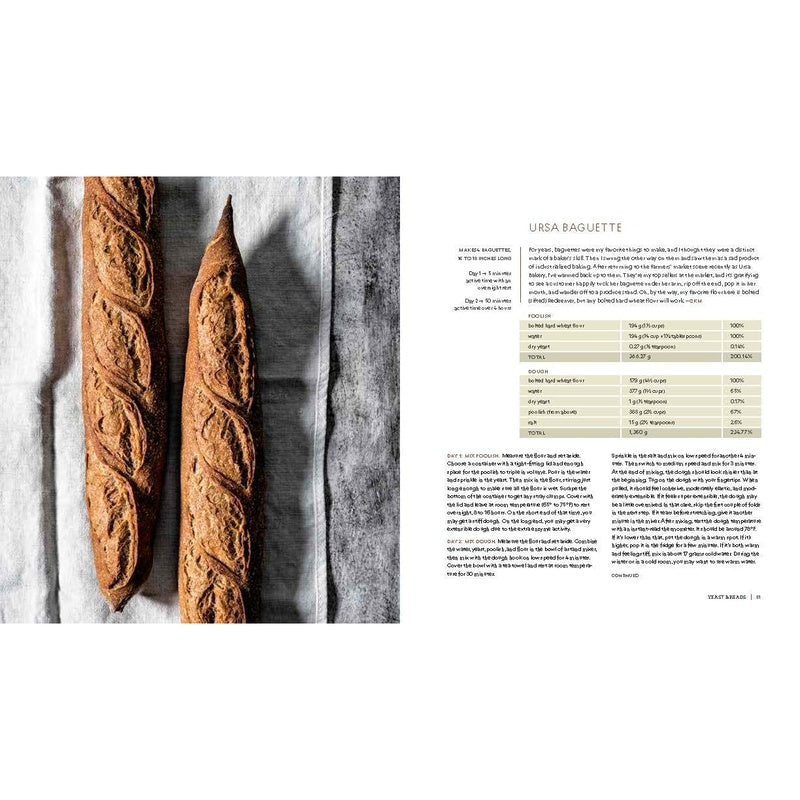 Mastering Bread: The Art and Practice of Handmade Sourdough, Yeast Bread, and Pastry [A Baking Book] (Spiral Bound)