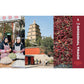 Xi'an Famous Foods: The Cuisine of Western China, from New York's Favorite Noodle Shop