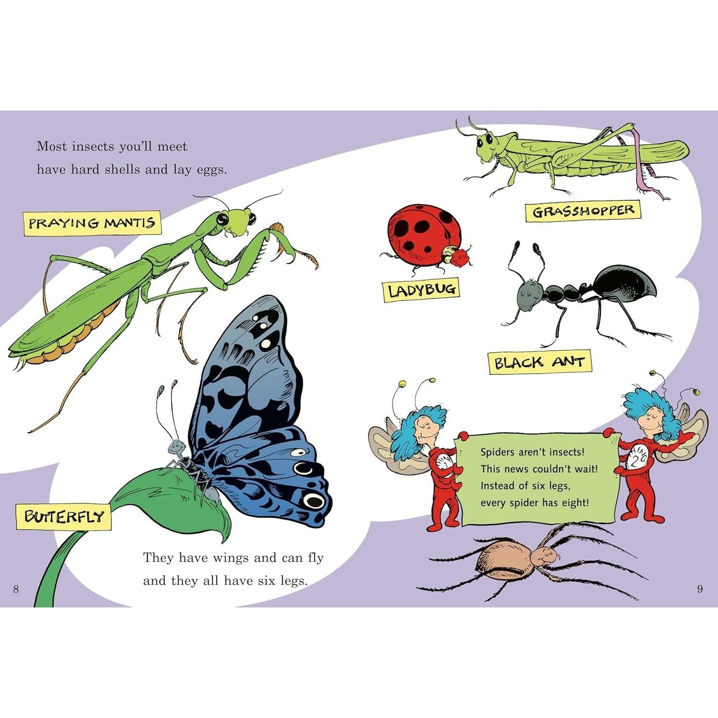 On Beyond Bugs! All about Insects (Cat in the Hat's Learning Library) (Spiral Bound)