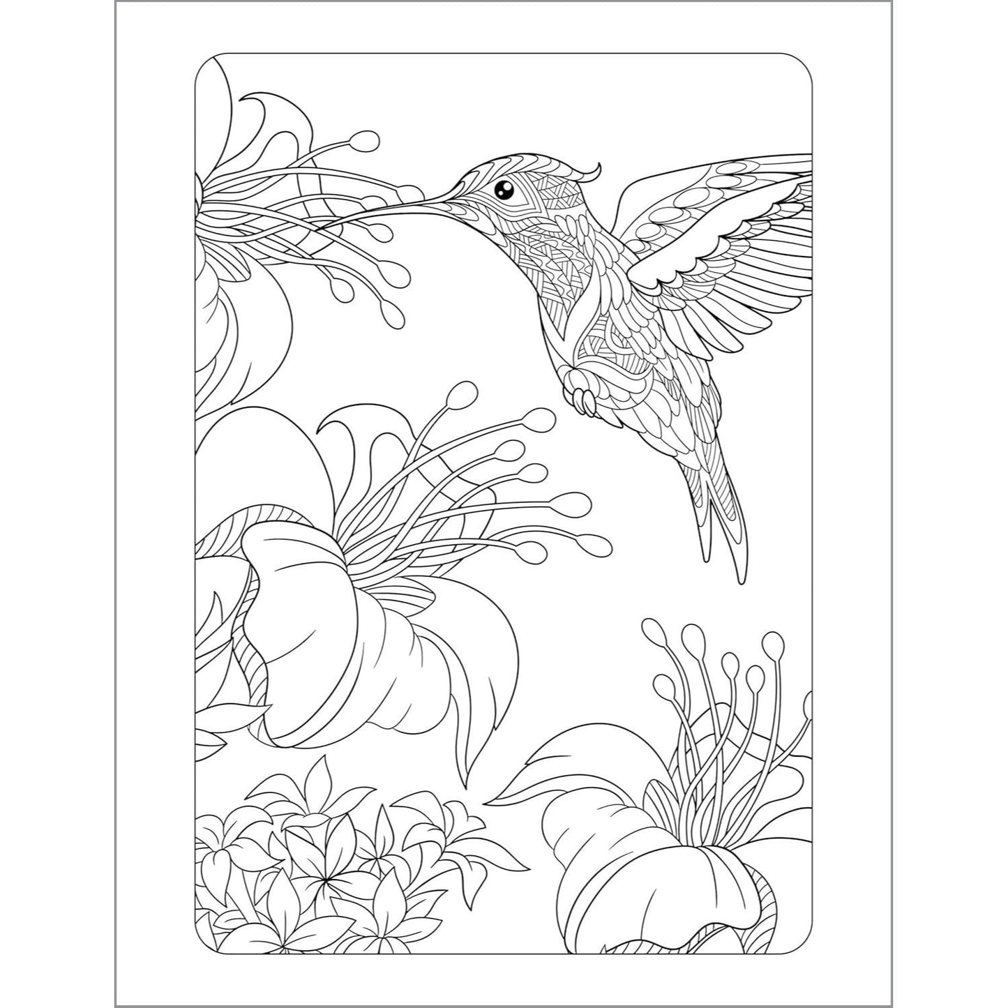 Anxiety Relief Coloring Book for Adults: Mindfulness Coloring to Soothe Anxiety (Spiral Bound)